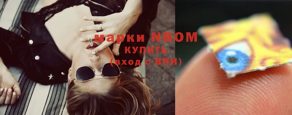 шишки Медногорск