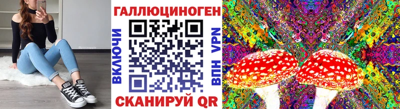 Псилоцибиновые грибы Cubensis  KRAKEN зеркало  Новокузнецк 