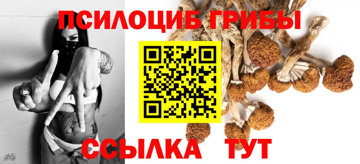 Псилоцибиновые грибы Cubensis  Вход с VPN  Новокузнецк 